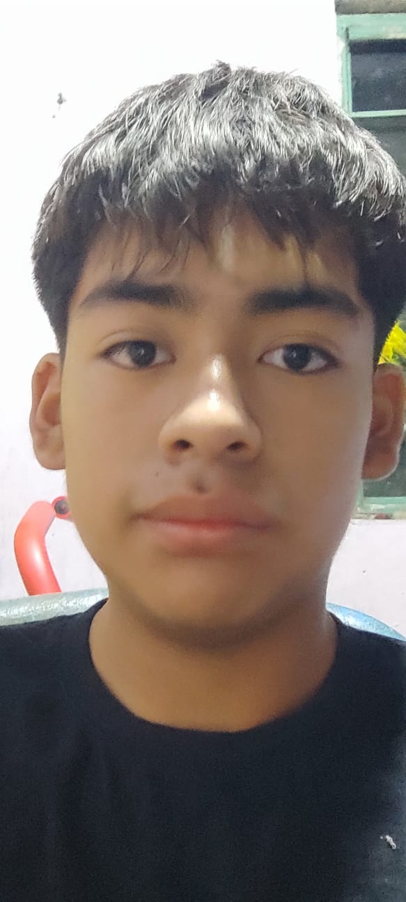 User Image