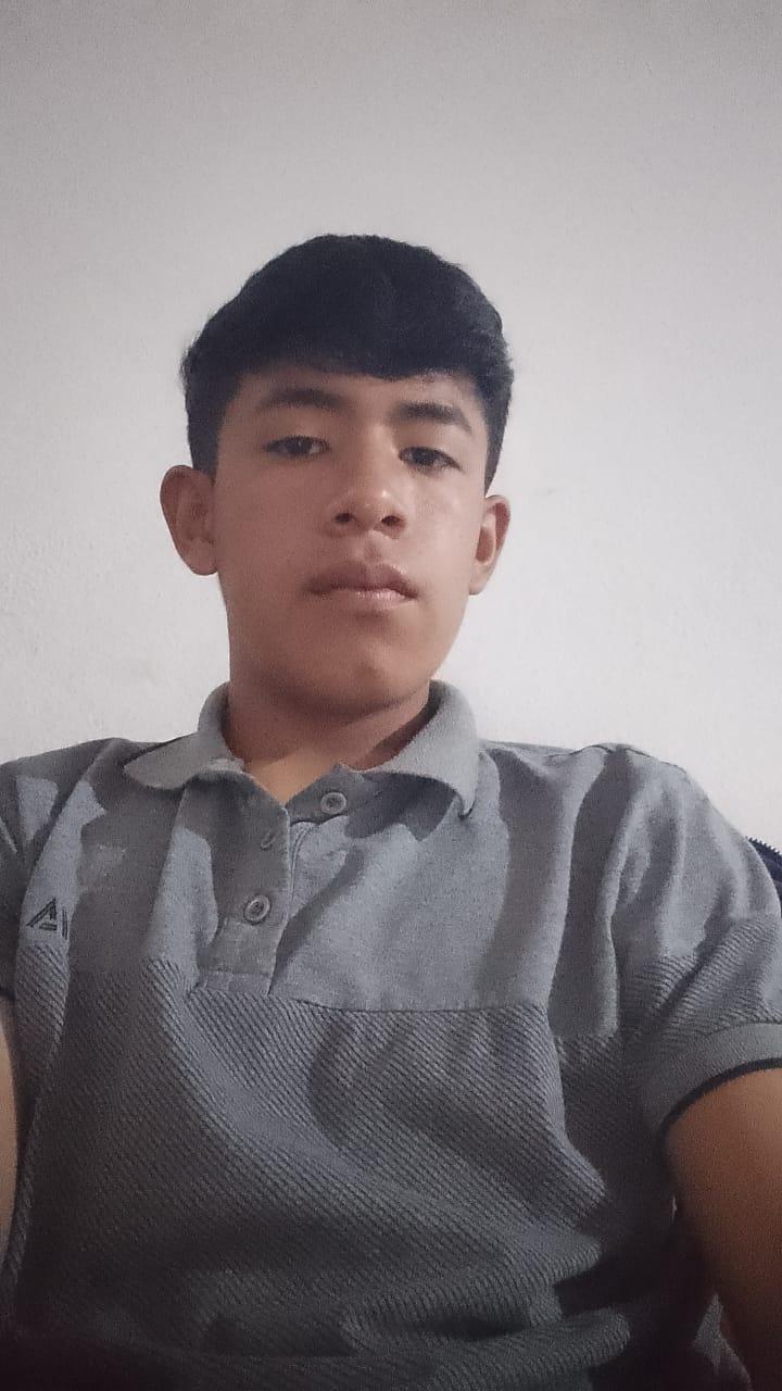 User Image